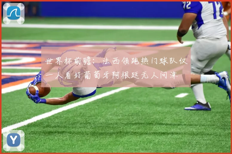 世界杯前瞻：法西领跑热门球队仅一人看好葡萄牙阿根廷无人问津