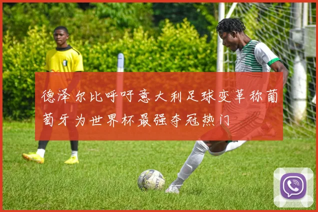德泽尔比呼吁意大利足球变革称葡萄牙为世界杯最强夺冠热门